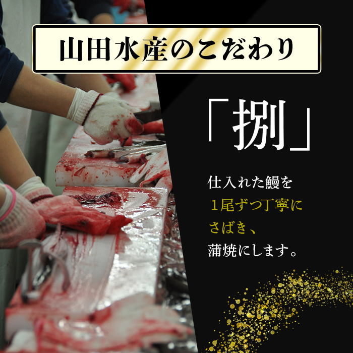 鹿児島県志布志市のふるさと納税 【数量限定】国産 八本木樽鰻の蒲焼(160g以上×5尾) b7-025