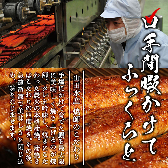 鹿児島県志布志市のふるさと納税 【志布志市人気No.1お礼の品】霧島湧水鰻の蒲焼き 160g以上×4尾＜計640g以上＞ b3-018