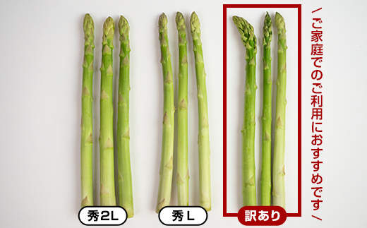 北海道今金町のふるさと納税 【先行予約】【訳あり】朝採れ新鮮アスパラ 1kg（S～2Lサイズ混合）（2025年3月下旬～6月中旬または7月上旬～9月上旬頃発送） 野菜 北海道産 バーベキュー BBQ キャンプ 旬野菜 ワケあり わけあり アスパラガス 栄養満点 冷蔵発送 F21W-318