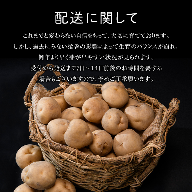 北海道今金町のふるさと納税 【先行予約】北海道今金町産男爵いも 約10kg 【2025年10月下旬以降順次出荷】 北海道産 じゃがいも ジャガイモ だんしゃく 野菜 ほくほく しっとり 常備野菜 F21W-486