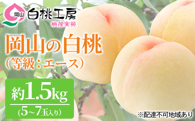桃 2025年 先行予約 白桃 等級 エー