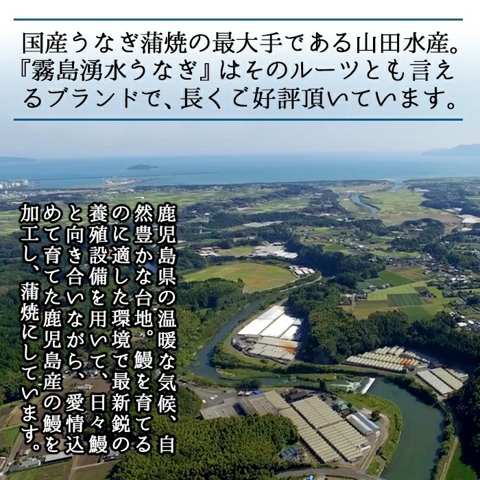 鹿児島県志布志市のふるさと納税 【お礼の品人気No1】霧島湧水鰻の蒲焼き 160g以上×5尾＜計800g以上＞ b8-038