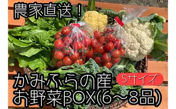 【2025年9月中旬頃から発送】農家直送！ミニトマト500g入り！かみふらの秋の味覚ボックスS（6～8品入り） 野菜セット 旬の野菜 野菜ボックス 